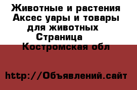 Животные и растения Аксесcуары и товары для животных - Страница 2 . Костромская обл.